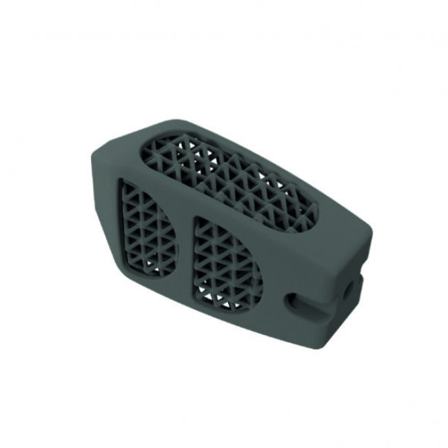 3D titán lumbal cage - BMD PLIF cage