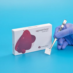 Porcpótló mátrix - Powerbone Chondro Matrix